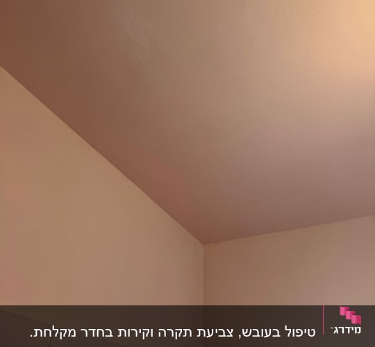 תקרה וקיר צבועים בגוון בהיר
